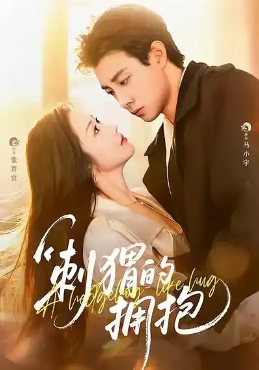 刺猬的拥抱 poster