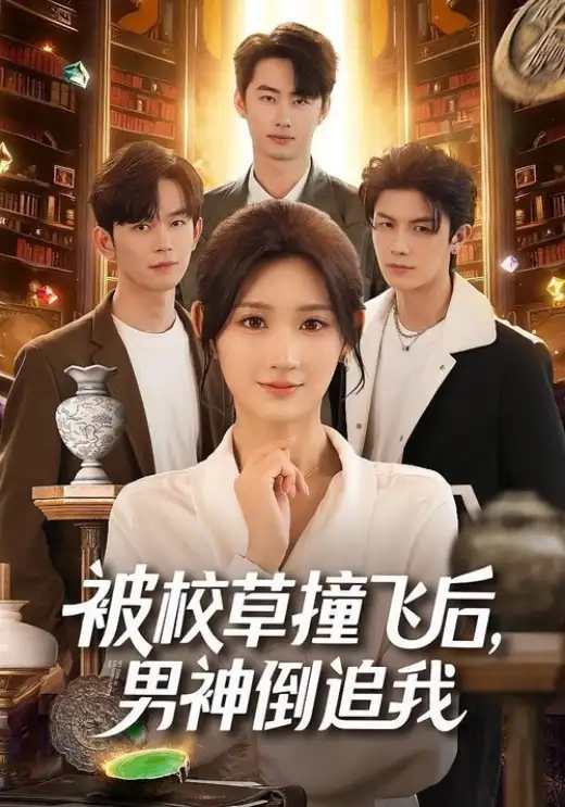 被校草撞了以后,男神开始追我了 poster