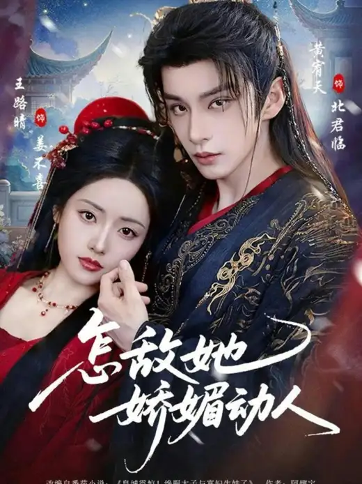 怎敌她动人 poster