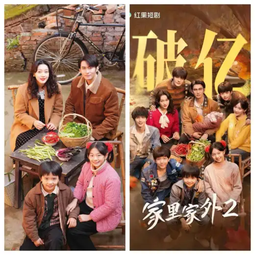 家里家外2 poster