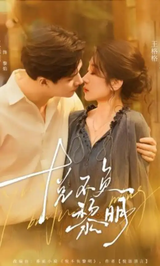 悦不负黎明 poster